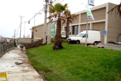Jumbo-Concon40b